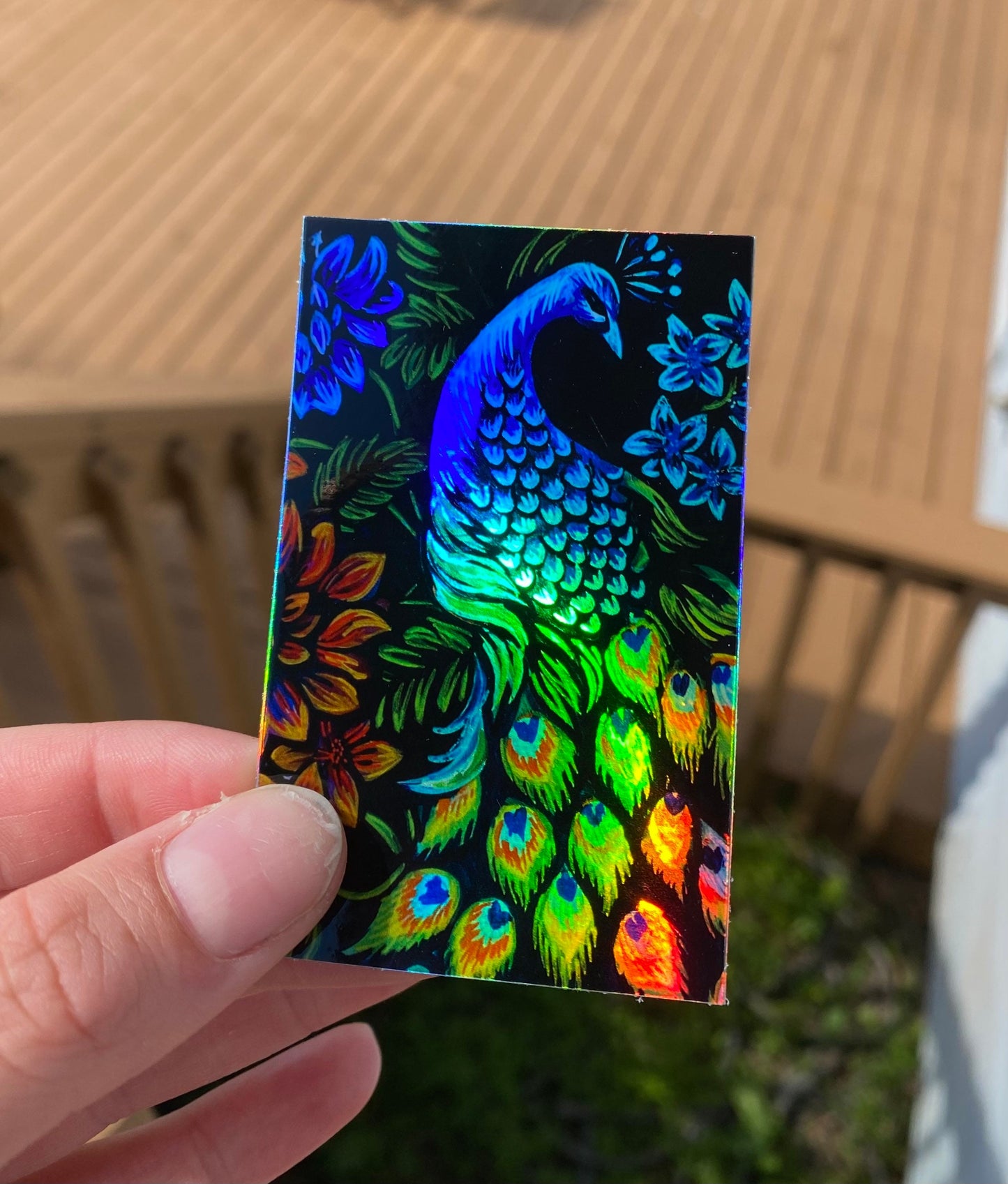 Peacock Holographic Sticker