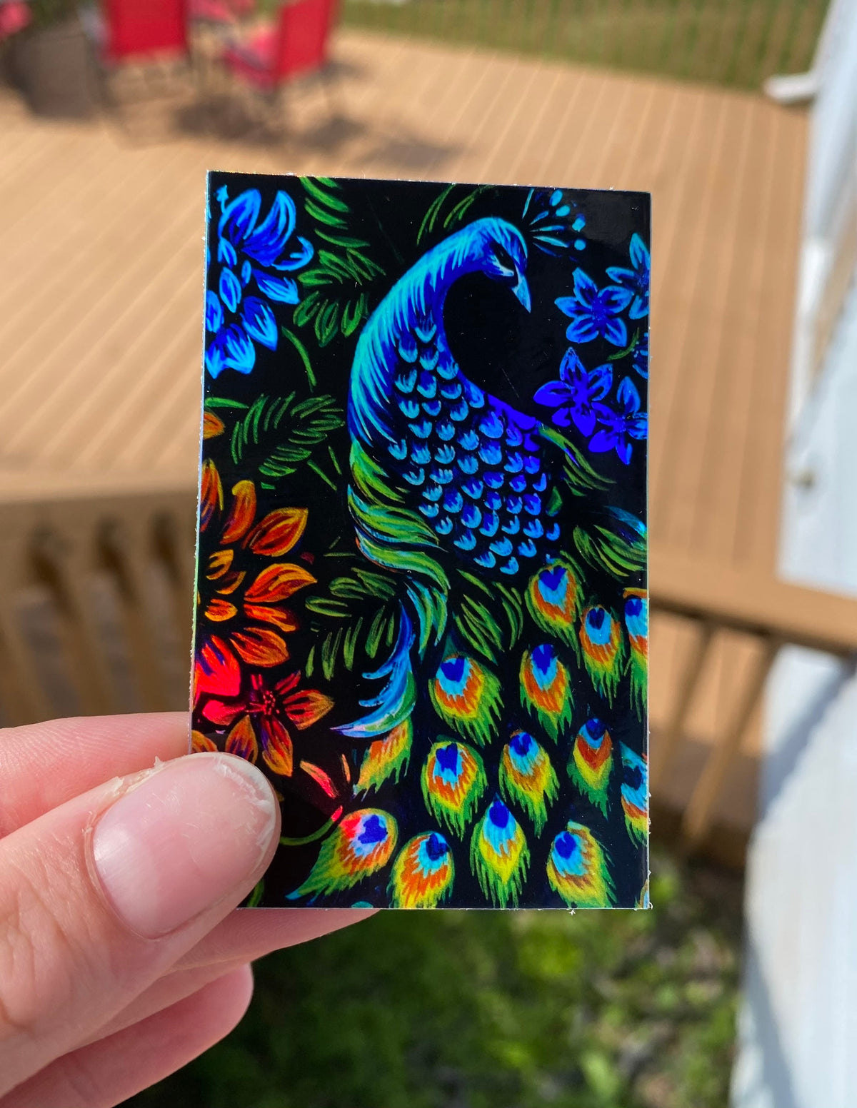 Peacock Holographic Sticker